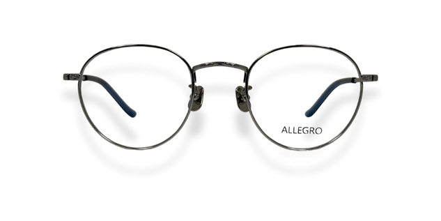 ALLEGRO-T1001-C3-4924-SPECTACLE FRAME
