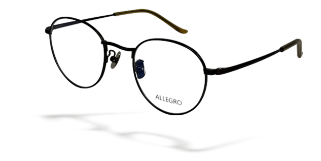 ALLEGRO-T1001-C4-4924-SPECTACLE FRAME