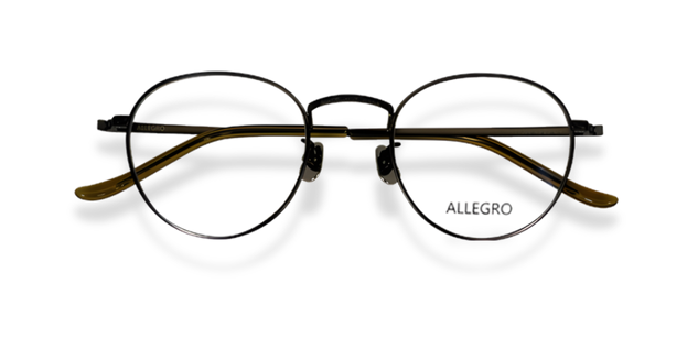 ALLEGRO-T1001-C4-4924-SPECTACLE FRAME product image