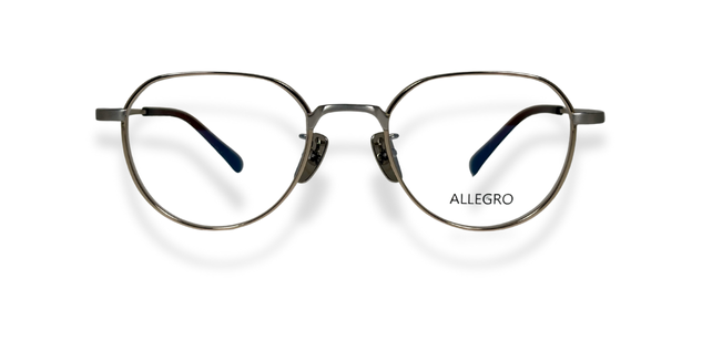 ALLEGRO-T1002-C4-5121-SPECTACLE FRAME
