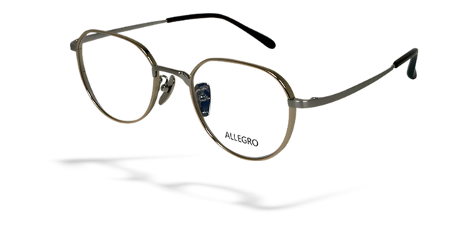 ALLEGRO-T1002-C4-5121-SPECTACLE FRAME