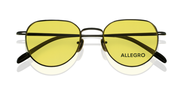 ALLEGRO-T1002S-C2/Y-5121-SUNGLASSES product image