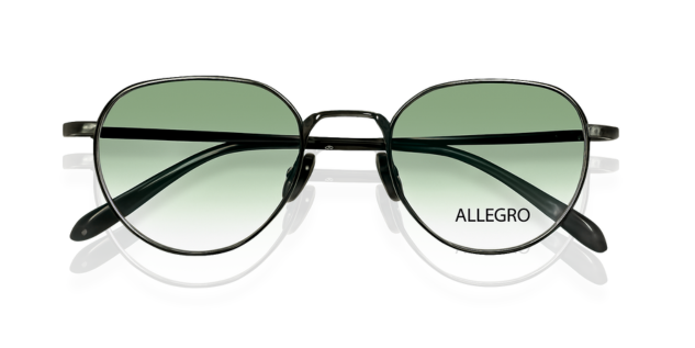 ALLEGRO-T1002S-C2/G-5121-SUNGLASSES product image