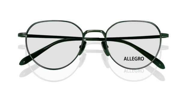 ALLEGRO-T1002S-C2/P-5121-SUNGLASSES