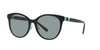 TIFFANY-0TF4209D-8055/1-5419-SUNGLASSES