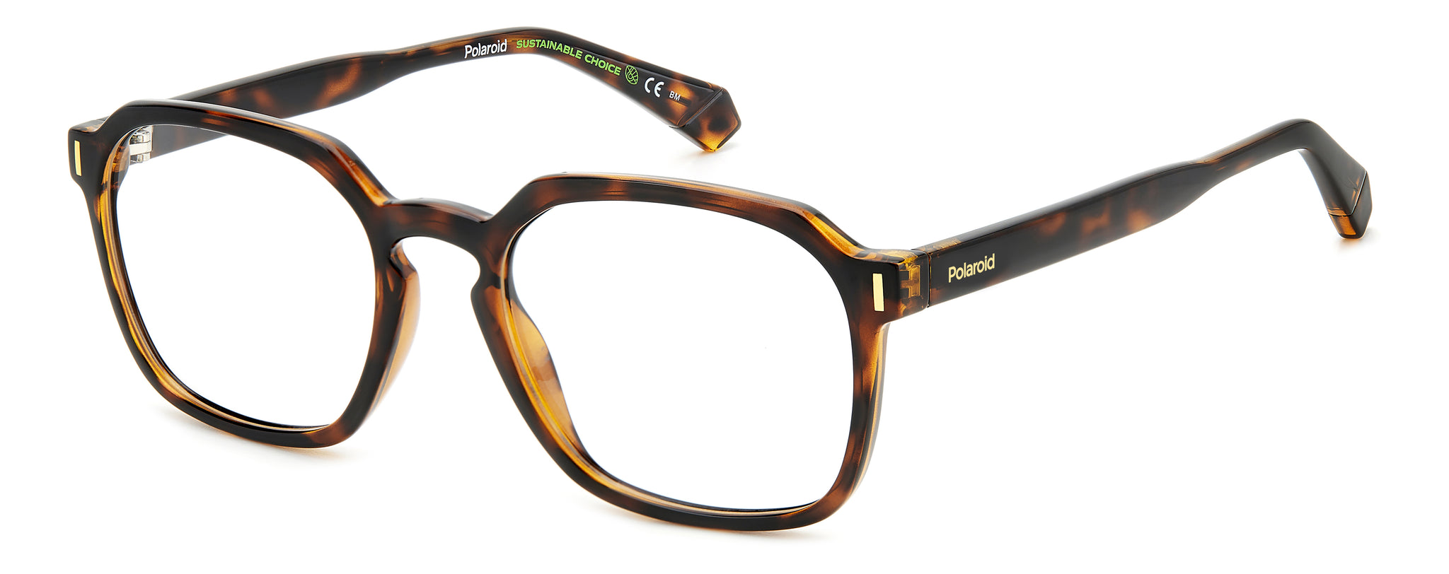 POLAROID-PLD D482-86-5319-SPECTACLE FRAMES product image