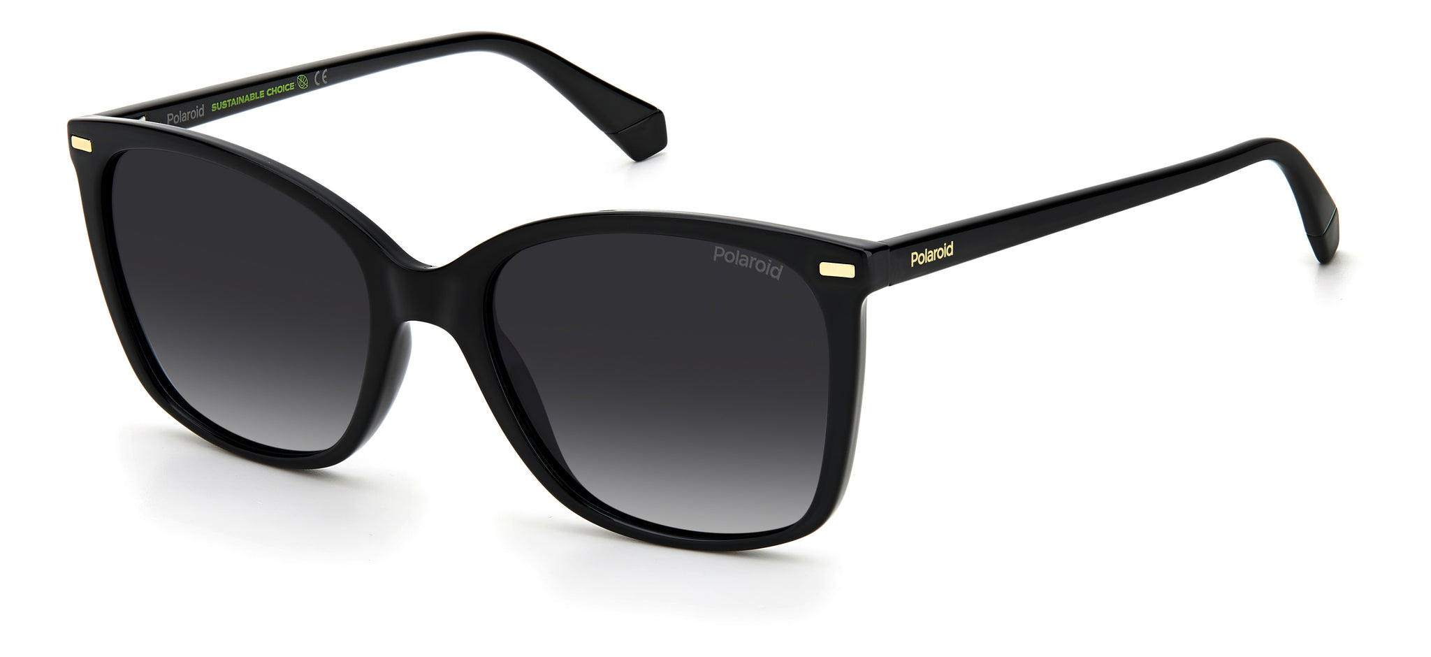 POLAROID-PLD 4108/S-807-5519-SUNGLASSES product image