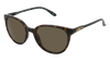 SMITH-CHEETAH-D1U-5419-SUNGLASSES