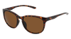 SMITH-LAKE SHASTA-86-5617-SUNGLASSES