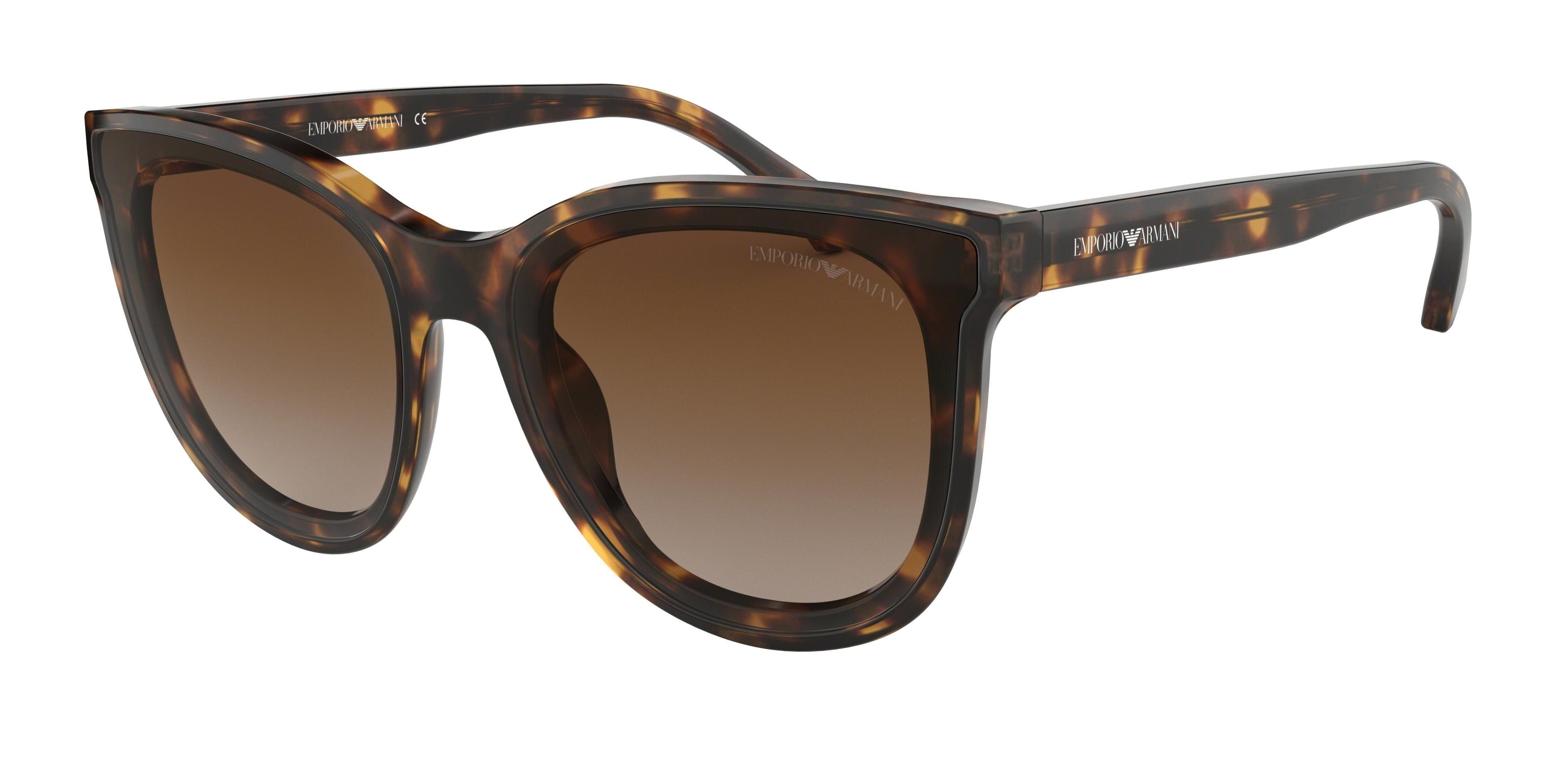 Emporio Armani 0EA4125F 508913 Sunglasses | 1001 Optometry